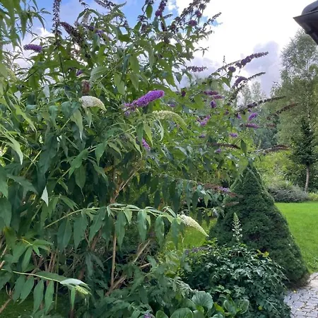 Trzy Jawory Dom Karkonosze Дом отдыха