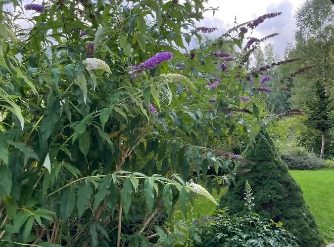 Trzy Jawory Dom Karkonosze Vakantiehuis