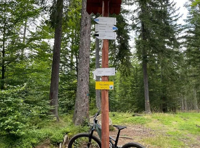 Prázdninový dům Trzy Jawory Dom Karkonosze Piechowice (Karkonosze)