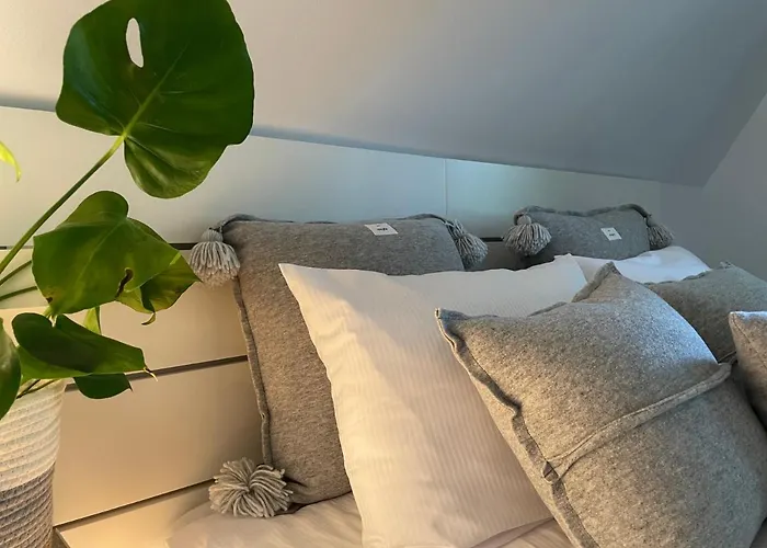 Trzy Jawory Dom Karkonosze * Piechowice (Karkonosze)